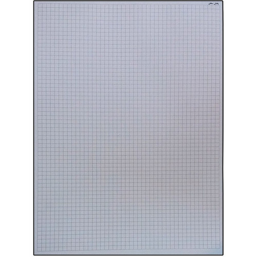 کاغذ 30*20 شطرنجی 10 برگ نیم سانتی
